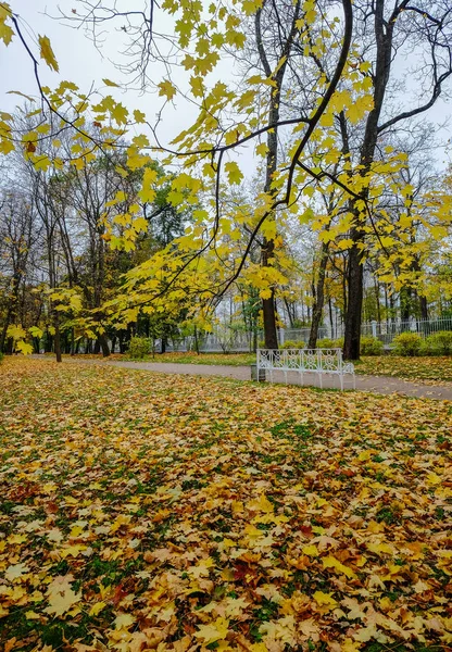 Őszi park itt: Szentpétervár, Oroszország — Stock Fotó