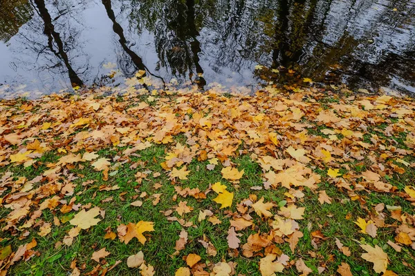 Parque de outono em São Petersburgo, Rússia — Fotografia de Stock