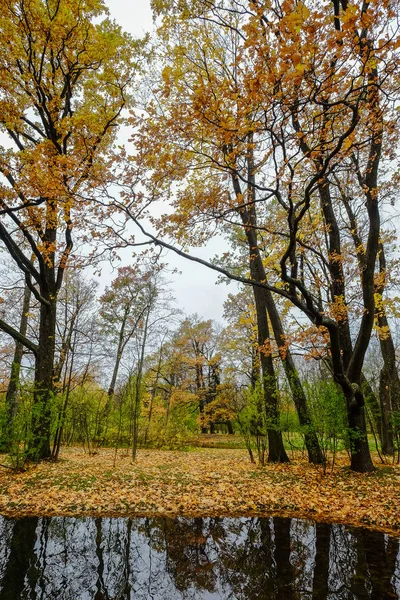 サンクトペテルブルク、ロシアで秋の公園 — ストック写真