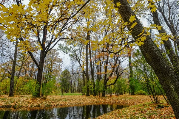 Parque de otoño en San Petersburgo, Rusia —  Fotos de Stock