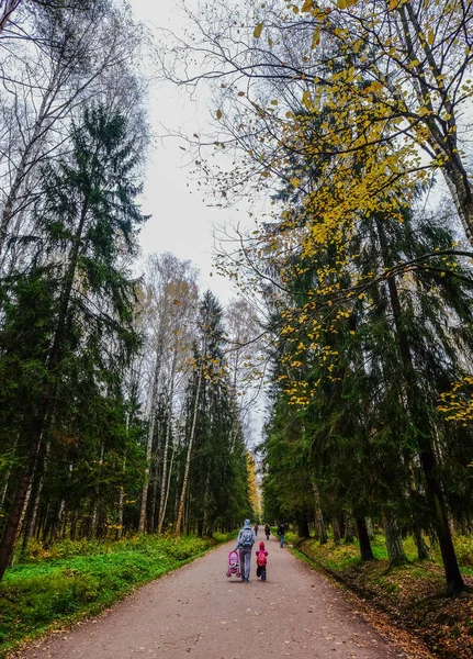 Herfst park in Sint-Petersburg, Rusland — Stockfoto