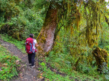 Annapurna Circuit Trek in Pokhara, Nepal