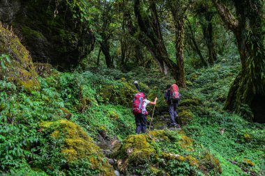 Annapurna Circuit Trek in Pokhara, Nepal