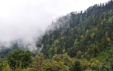 Pokhara dağ manzarası, Nepal 