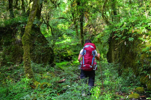 Annapurna Circuit Trek i Pokhara, Nepal — Stockfoto