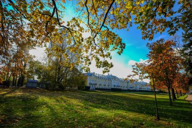 Güneşli bir günde bahçede Sonbahar ağaçları 