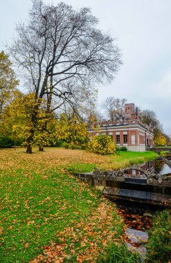 Güneşli bir günde bahçede Sonbahar ağaçları 