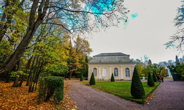 Осінні дерева в саду в сонячний день — стокове фото