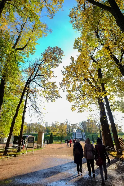 Árboles de otoño en el jardín en el día soleado — Foto de Stock