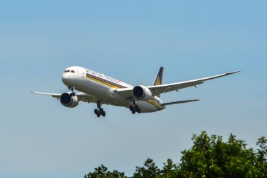 Singapur Havaalanı'na uçak inişi 