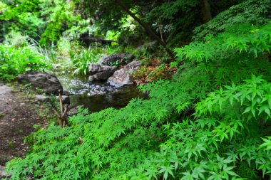 Japon bahçesinde pastoral manzara