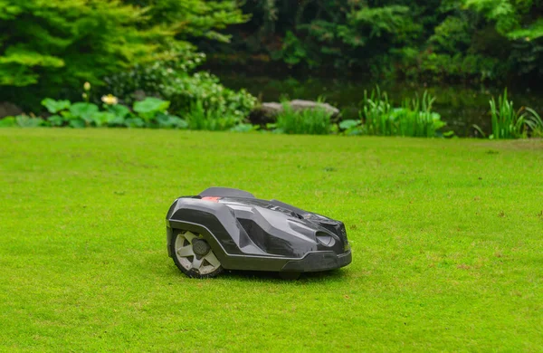 Otlu otomatik çim biçme makinesi robotu 