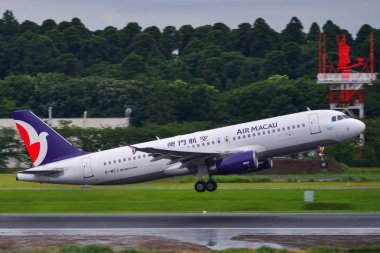 Tokyo Narita Havalimanı 'nda yolcu uçağı 