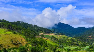 Yaz gününde dağ manzarası 