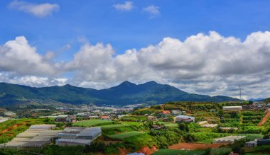 Dalat, Vietnam için sebze bahçeleri