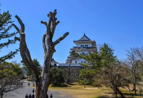 Castello di Iga Ueno a Mie, Giappone — Foto Stock