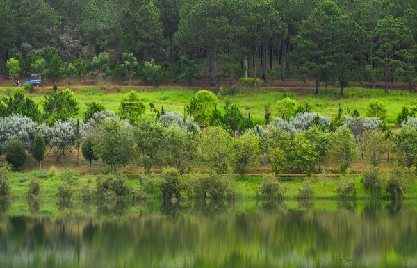 Lake landschap in Dalat, Vietnam — Stockfoto