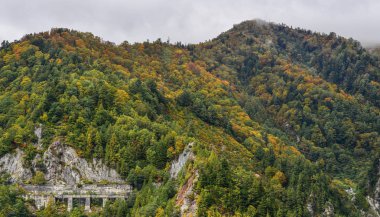 Japonya 'da sonbaharda dağ manzarası 