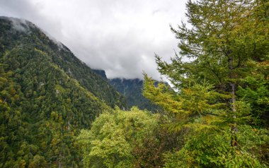 Japonya 'da sonbaharda dağ manzarası 