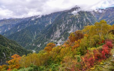 Japonya 'da sonbaharda dağ manzarası 