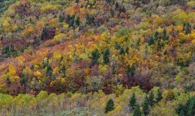 Japonya 'da sonbaharda dağ manzarası 