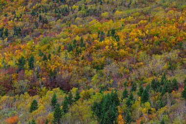 Japonya 'da sonbaharda dağ manzarası 
