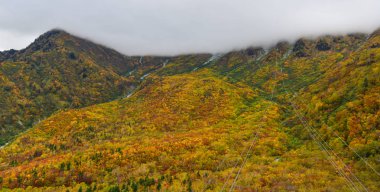 Japonya 'da sonbaharda dağ manzarası 
