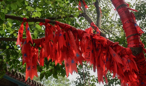 Rode Lucky linten voor decoratie op boom — Stockfoto