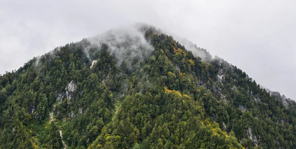 Paysages de montagne à l'automne au Japon — Photo