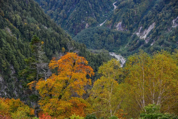 Mountain scenery at autumn in Japan — Stock Photo, Image