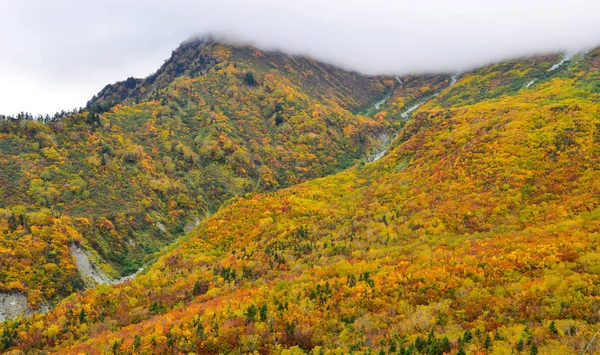 日本秋季的山景 — 图库照片