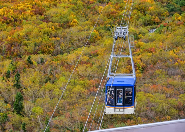 Caminho de teleférico na montanha de outono — Fotografia de Stock