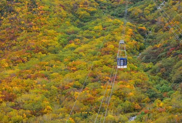Caminho de teleférico na montanha de outono — Fotografia de Stock