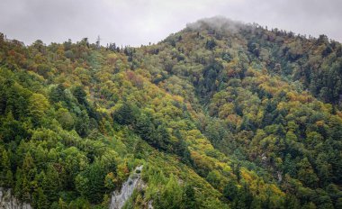 Japonya 'da sonbaharda dağ manzarası 