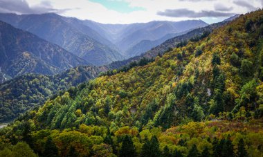 Japonya 'da sonbaharda dağ manzarası 