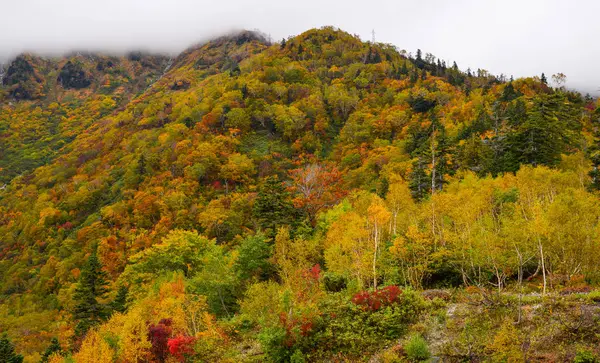 Paysages de montagne à l'automne au Japon — Photo