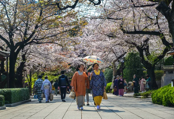 Gente disfrutando de la flor de cerezo (hanami ) —  Fotos de Stock