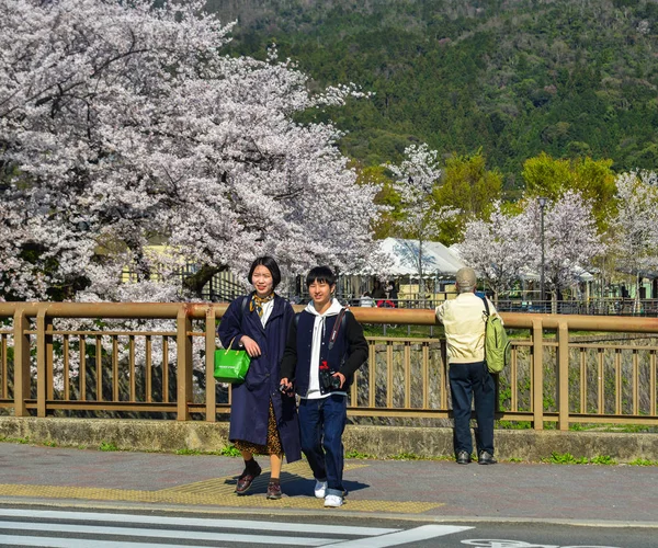 Gente disfrutando de la flor de cerezo (hanami ) —  Fotos de Stock