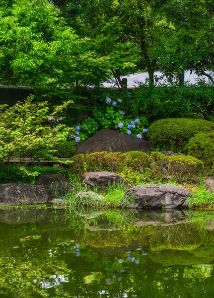 Idyllische Landschaft des japanischen Gartens — Stockfoto