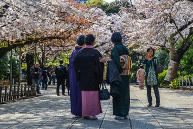 İnsanlar kiraz çiçeği zevk (Hanami) 