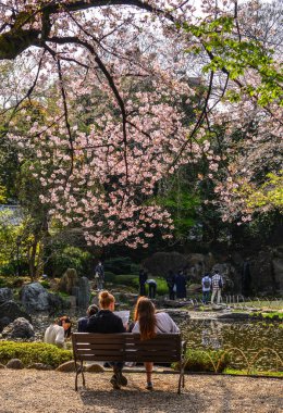 İnsanlar kiraz çiçeği zevk (Hanami) 