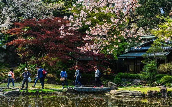 Gente disfrutando de la flor de cerezo (hanami ) — Foto de Stock