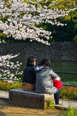 İnsanlar kiraz çiçeği zevk (Hanami) 