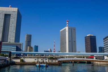 Cityscape of Tokyo Bay, Japonya 