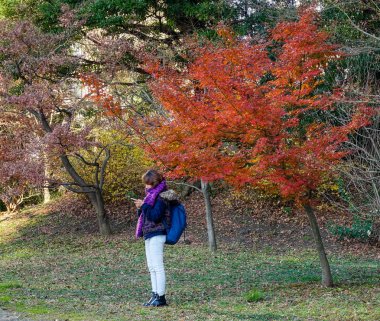 İnsanlar Tokyo, Japonya'da bahçe ziyaret 