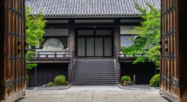 Büyük ağaçlar ile antik tapınak 