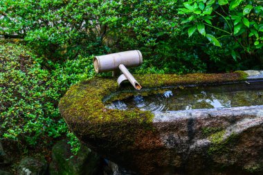Japon bahçesinde pastoral manzara