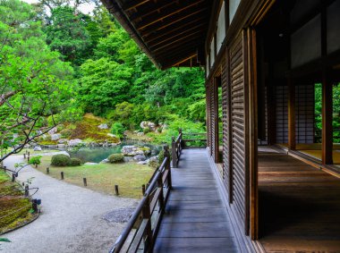 Büyük ağaçlar ile antik tapınak 