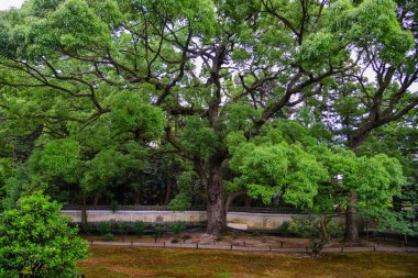 Japon bahçesinde pastoral manzara