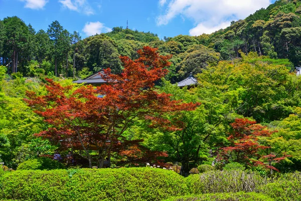 Idylická krajina v japonské zahradě — Stock fotografie